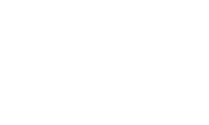 S.W.A.N. Insurance